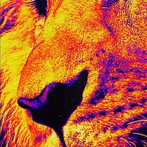 Meet your Posher, Patrick